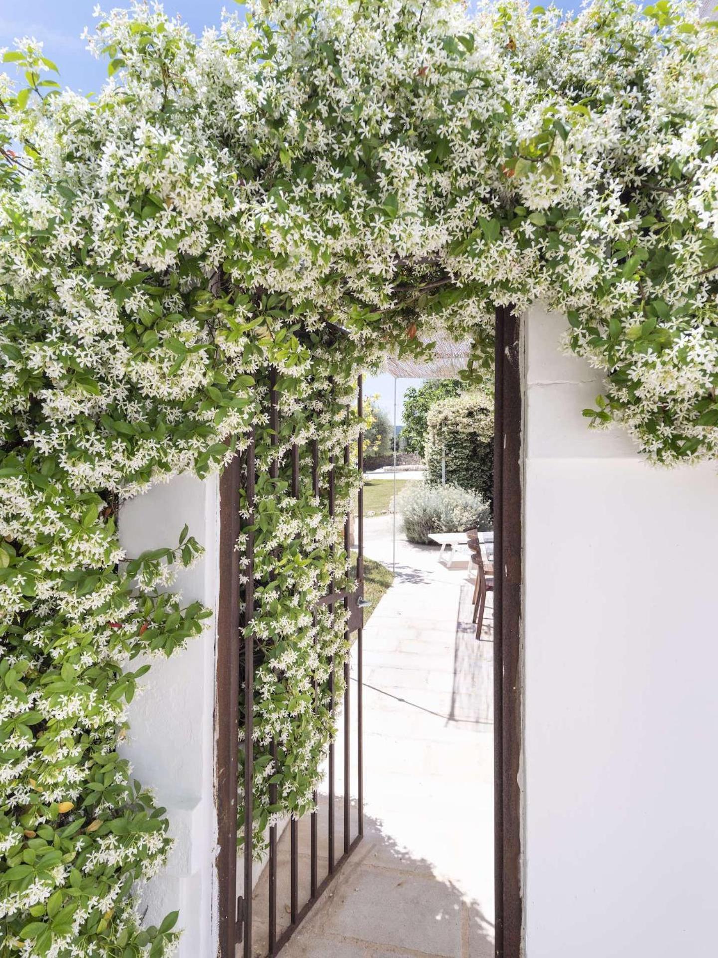 Masseria Alchimia Fasano Kültér fotó